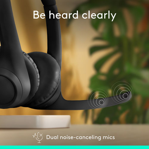 Logitech Zone 300