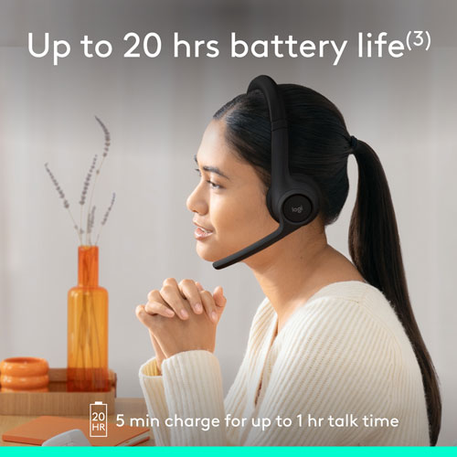 Logitech Zone 300
