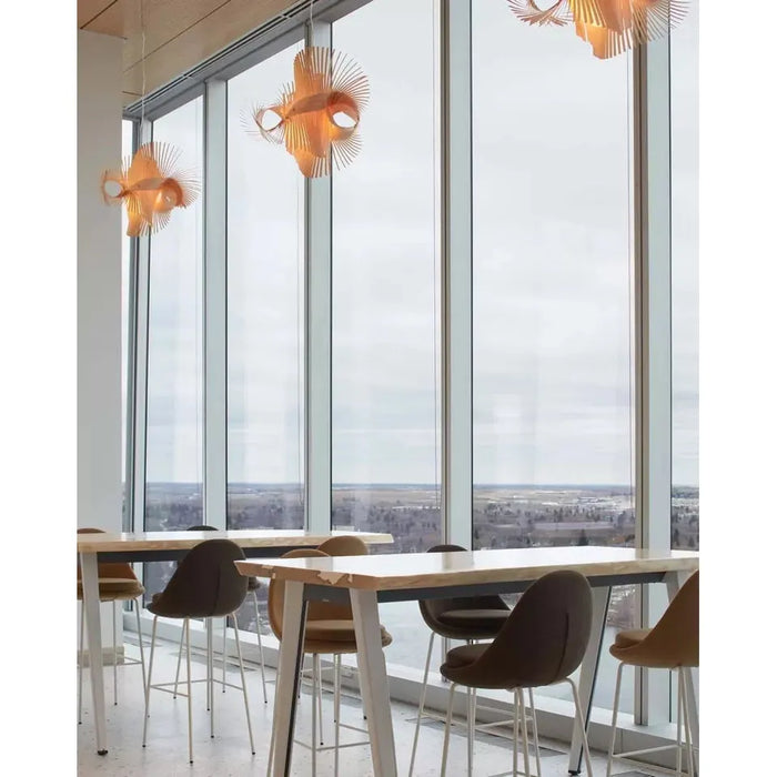 Cafe Inspiration