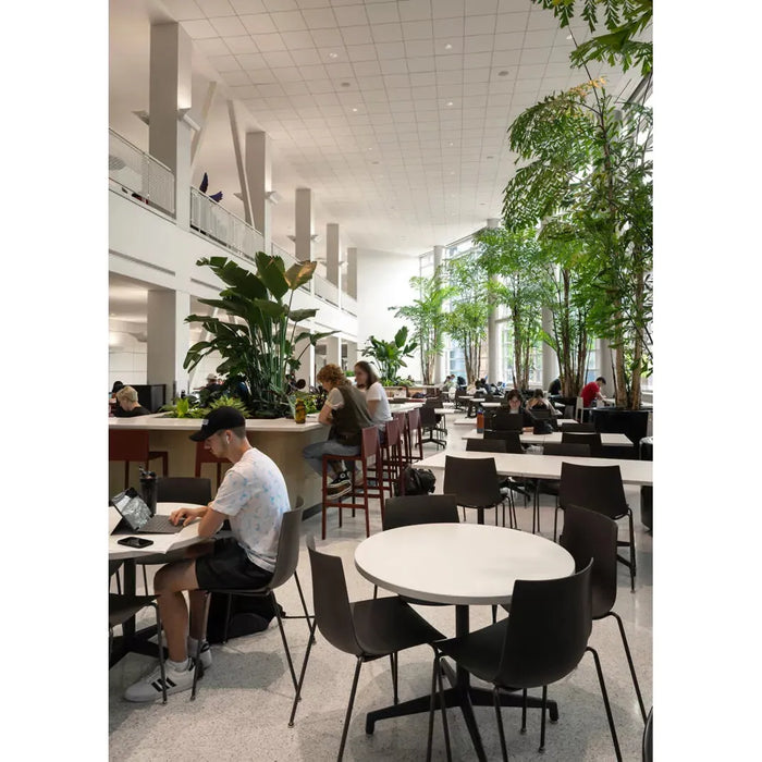 Cafe Inspiration