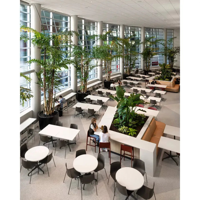 Cafe Inspiration