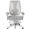 tCentric Hybrid Task Chair